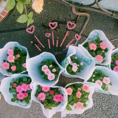 kaiyun体育最新版